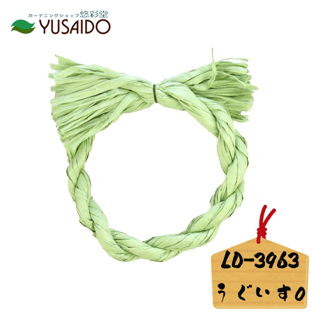 ♪ リード商事 ペーパーリースベース LD-3963 O形 うぐいす 黄緑色玄関飾り 正月飾り しめ飾り リース 紙リース しめ縄 ハンドメイド 手芸 新年 縁起 縁起物 モダン レトロ 土台 ベース 和風 手作り オリジナル インテリア 丸形 新春 迎春