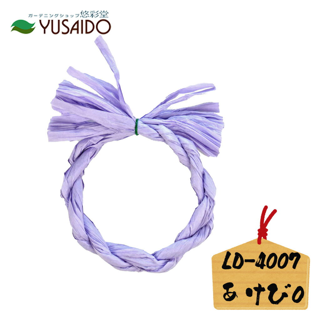 ♪ リード商事 ペーパーリースベース LD-4007 O形 あけび パープル 紫 ムラサキ玄関飾り 正月飾り しめ飾り リース 紙リース しめ縄 ハンドメイド 手芸 新年 縁起 縁起物 モダン レトロ 土台 ベース 和風 手作り オリジナル インテリア 丸形 新春 迎春
