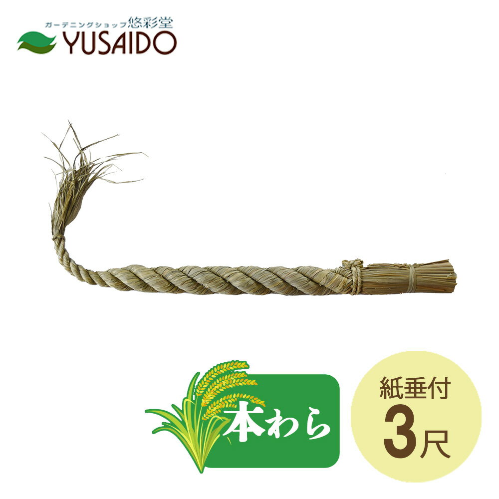 ê  (纬) 3 򥿥() 켰å(Ĺ90cm)ê Ļ ʤ  Ϣ   纬...