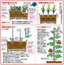 yusaido:10004398のサンプル画像3