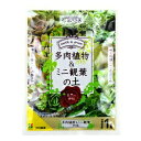 ■根に安全な元肥入りで、そのまま使えます。 ■水の腐敗を防ぐゼオライトを配合しました。 ■排水性が良く、根腐れを防止します。 主原料・肥料成分 赤玉土、鹿沼土、パーライト、ゼオライト花ごころ　earth&green　多肉植物＆ミニ観葉の土