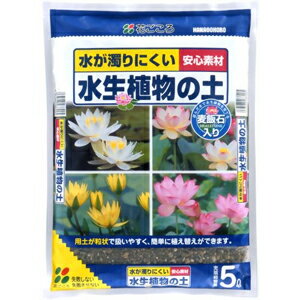 まっすぐな茎と丸みのある葉が水槽のアクセントに ウォーターバコパの育て方を解説 暮らし の