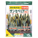 花ごころ サンセベリア(トラの尾)の土 5Lグリーン 観葉 植物 培養土 土 用土 園芸 栽培 専用 鉢土 ガーデニング 木質堆肥 パーライト 赤玉土 ピートモス ガーデニング 園芸 畑 庭