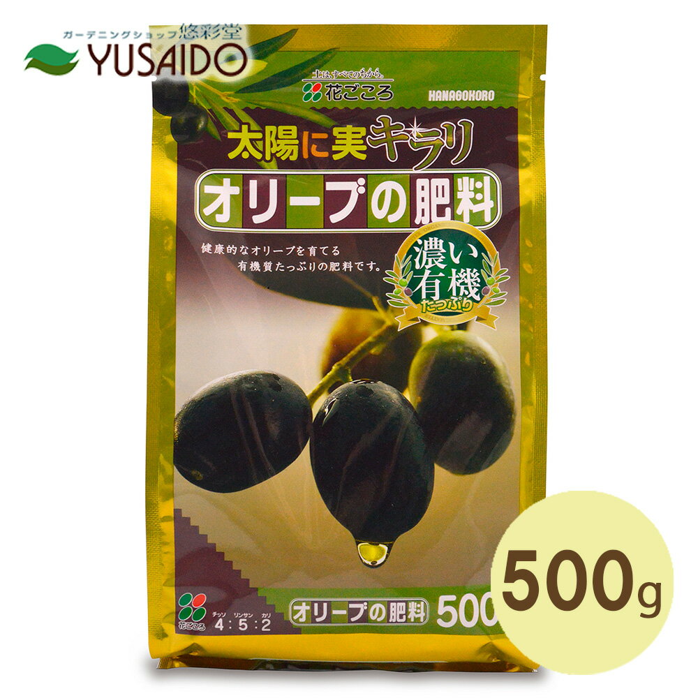 Ԃ I[u̔엿 500g