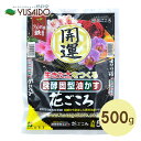 【本日ポイント5倍】醗酵固型油かす 花ごころ 大粒 500g油粕 油かす あぶらかす 肥料 醗酵 完熟 固形 粒状 寒肥 追肥 元肥 海藻成分 鉄 フルボ酸 観葉植物 草花 ガーデニング 園芸 庭 プランター 植木鉢 鉢植え