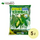 花ごころ 観葉植物の土 5Lグリーン 観葉 植物 培養土 土 用土 園芸 栽培 専用 鉢土 ガーデニング 植物