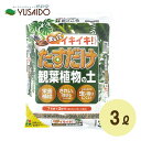 【花ごころ たすだけ観葉植物の土 3L】大きくてずっと植替えしていない・できない観葉植物にはこれ！足すだけおしゃれ＆生育UP