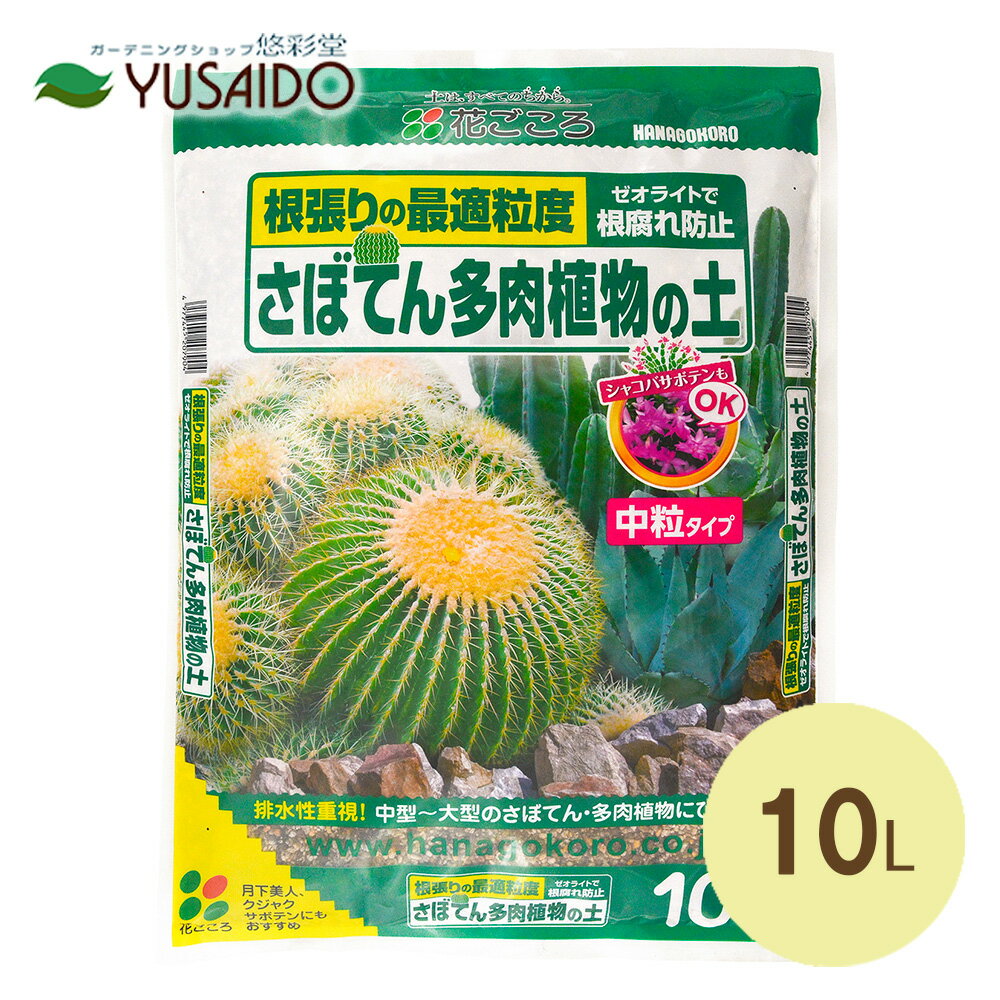 楽天市場】花ごころ さぼてん多肉植物の土 10Lサボテン シャコバ 楽天市場】花ごころ さぼてん多肉植物の土 10Lサボテン シャコバ