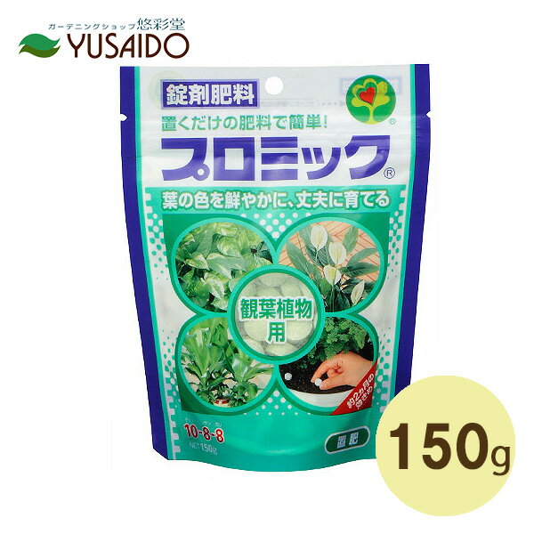 シュロチク 観葉植物 【ハイポネックス プロミック 観葉植物用 150g】葉を鑑賞するインテリアグリーンにおすすめ 置くだけでOKな錠剤タイプで2ヵ月効果 匂いなく清潔で玄関前・ベランダ・室内でも安心して使用可能 置くだけで初心者にもかんたん