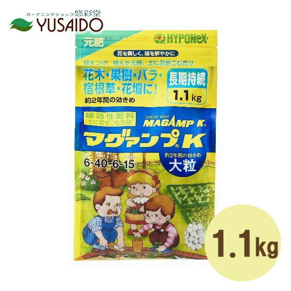 【ハイポネックス マグァンプK 1.1kg 大粒】遅効性 緩効性 化成肥料 花壇 寄せ植え 観葉 植物 庭木 果樹 野菜 くだもの ペチュニア ビオラ パンジー トレニア インパチェンス ゼラニウム ベゴニア モンステラ ゴムの木等に効く！