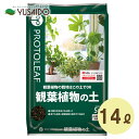 プロトリーフ 観葉植物の土 14Lインテリアグリーン 観葉植物 インドア 鉢植え 土 培養土 室内 ガーデニング 園芸 プランター 鉢植え 植木鉢 庭