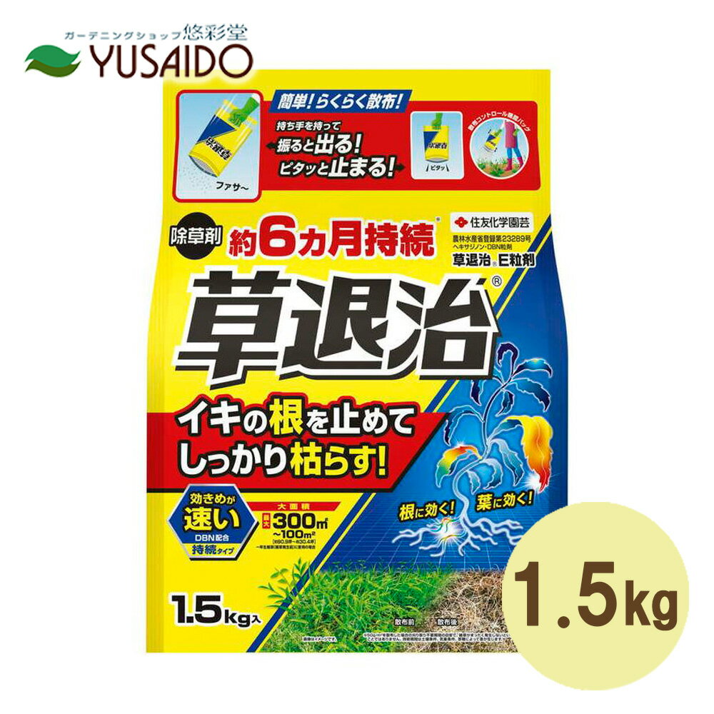 *************************************★使用目的に合ってますか？除草剤の性質チェック************************************* 雑草の種類 ◎ 一年草イネ科（エノコログサ・オヒシバ等） △※ 多年草イネ科（ススキ・ササ等） ◎ 一年草広葉（ツユクサ・コニシキソウ等） △※ 多年草広葉（ドクダミ・ヨモギ等） 使う場所 ◎ 駐車場・墓地・通路等植物を今後植えない場所 × 樹木の下、庭回りなど × 芝生の中など 効果の出方 ◎ 即効性 ◎ 持続性 ※△：下記「効果・薬害等の注意」4 特徴 ・除草効果は最速3～7日※1であらわれはじめ、長期間（約6ヵ月※2）雑草の発生を抑えます。 ・2種類の有効成分で、一年生雑草の発生を予防※3し、しつこいスギナなど各種雑草の葉や茎だけでなく根までスッキリ枯らします。 ・低温でもよく効くので、春先や秋口の雑草が生えはじめる時期はもちろん、年間を通じた雑草防除ができます。 ※1 草丈20cm以下の一年生雑草での事例 ※2 最大散布量を散布した場合の刈り取り不要期間の目安で、雑草がまったく発生しないということではありません。持続期間は土壌条件、気象条件によって変動します。 ※3 雑草種子の発芽抑制を指す。 有効成分 ヘキサジノン・DBN 散布後枯れはじめるまで 3~7日　※草丈20cm以下の一年生雑草での事例 効果持続目安 約6カ月　※最大散布量を散布した場合の刈り取り不要期間の目安で、雑草がまったく発生しないということではありません。持続期間は土壌条件、気象条件によって変動します。 使用面積目安 最大300m2 効果・薬害等の注意 1．雑草が大きくなりすぎると効果が劣るので、生育初期（草丈20cm以下）あるいは雑草を刈払った後早目に使用してください。 2．土壌が極端に乾燥しているときの使用はさけ、適度の水分を含んでいるときに使用してください（効果）。 3．薬剤が樹木類等の植栽地に流入または飛散するおそれのある場所等では使用しないでください。 4．ススキ、オギ等の大型多年生イネ科雑草およびセイタカアワダチソウ、イタドリ等大型多年生広葉雑草には効果が劣るので、これら雑草の優占する所では使用しないでください。 5．植物の根から吸収されると薬害が発生するので、水田や水田への利用が考えられる用水路等に流入が想定される場所や、農作物および樹木類等有用植物の付近では使用しないでください。 6．作物の播種または植栽予定地、ハウス等の施設周辺では使用しないでください。 7．急な傾斜地や砂質土壌では、流出による薬害のおそれがあるので使用しないでください。 8．激しい降雨が予想される場合は、使用をさけてください。 9．水源池、養殖池等に飛散、流入しないように十分に注意してください。 10．使用量、使用時期、使用方法などを守る。特に初めて使用する場合は、病害虫防除所または販売店と相談することが望ましいです。 11．桑葉にかからないように注意してください（蚕毒）。 ※使用の際はパッケージにある説明をお読みになり、指示に従ってご使用ください。