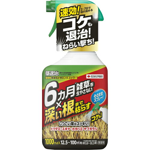 ͧر ༣ ᥬ󥰥 ץ졼 1000mL []