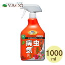 住友化学園芸 ベニカXスプレー 1000ml