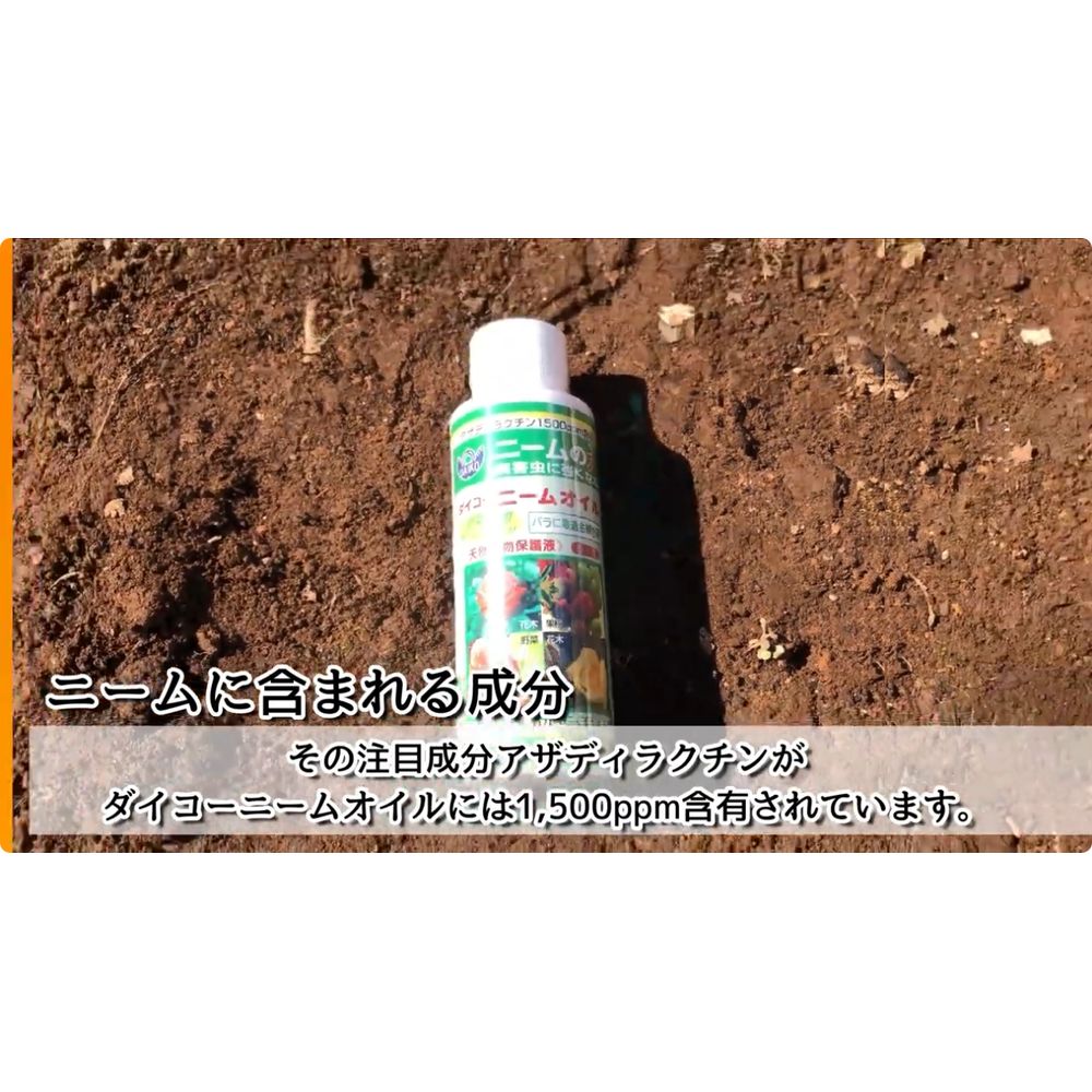 【本日ポイント5倍】大興貿易 ニームオイル1L無農薬栽培 有機栽培 オーガニック 栽培 野菜 バラ ハーブ ニーム オイル ケーキ 害虫よけ 忌避 果樹 土壌改良 殺菌 治療 希釈 ハーブ 天然素材 自然成分 アーユルヴェーダ インド 天然 虫よけ 予防 3