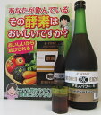 ＜ポイント10倍 5月29日（水）まで＞純度 高い 植物性 複合 酵素 ビトケン酵素 720ml×2本 小瓶30ml 2本付き