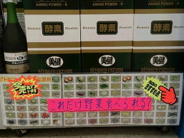 新鮮な野菜、果物根菜、海藻等の60種類に樹液や有用な野草10数種を使用