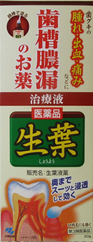 第3類医薬品 歯ぐき 腫れ 出血 痛み 歯槽膿漏生葉 液薬 20g
