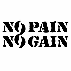 【NO PAIN NO GAIN FS08 腐食調 （ノーペインノーゲイン） カッティングステッカー ミニサイズ 3枚組 幅約12cm×高約5cm】ハンドメイド デカール。