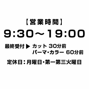 【カッティングステッカー 美容室の営業時間（24H表示） 時間 最終受付 定休日 EBS002 大判Lサイズ 2枚組 幅約33cm×高18.6cm】ショップ用ウインドーサイン