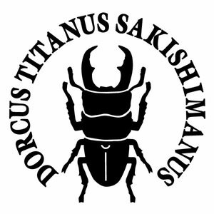 【サキシマヒラタクワガタ Ver.05 カッティングステッカー ミニサイズ 3枚組 幅約11cm×高約10.7cm】ハンドメイド