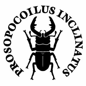 【ノコギリクワガタ Ver.033 カッティングステッカー 大判Lサイズ 2枚組 幅約27cm×高約25.4cm】PROSOPOCOILUS INCLINATUS ハンドメイド