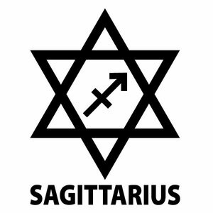 【SAGITTARIUS（いて座）Ver.09 カッティングステッカー 大判Lサイズ 2枚組 幅約20.5cm×高約27cm】ハンドメイド 射手座 星座ステッカー 車 ウインドウステッカー。