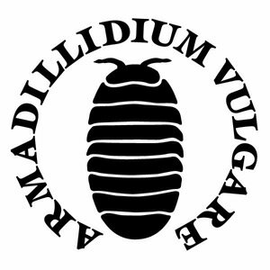 【オカダンゴムシ Ver.021 カッティングステッカー 大判Lサイズ 2枚組 幅約26.5cm×高約25cm】だんごむ..