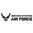 【U.S. AIRFORCE ver.07 （米国空軍モチーフ） カッティングステッカー 2枚組 幅約22cm×高約6cm】ハンドメイド デカール アーミー アメリカ空軍マーク。