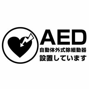【AED設置案内表示用カッティングステッカー 2枚組 幅約22cm×高約9.6cm】ハンドメイド AED搭載車や、AED設置場所に。※矢印2枚付属します。