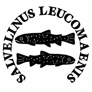 【イワナモチーフ IWN02 カッティングステッカー ミニサイズ 3枚組 幅約11.5cm×高約10.2cm】岩魚モチー..