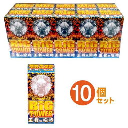 ビッグパワー10個セット【噴出花火】