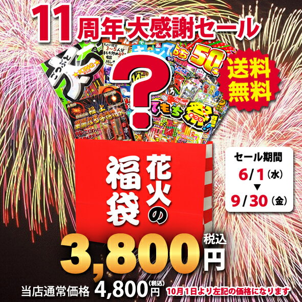 開店11周年☆記念価格＼あす楽／☆送料無料☆『花火の福袋』【打上の有無選択可】【花火セット】【手持ち 噴出】【手持ち 噴出 打上】【花火セット 送料無料】【花火　詰め合わせ】