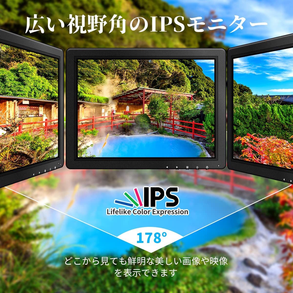 (IPS�ѥͥ롦������178��) 10�������˥��� �վ�����HDMI/BNC/VGA/USB ��ǽ�դ� �ǥ����ץ쥤 (1024x768)