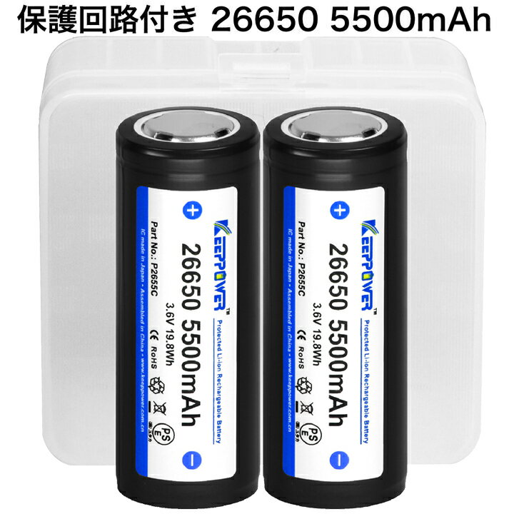 【micro USB】9V 充電池 2本入 800mAh 006P型 6F22 角形 充電式 電池 リチウムイオン USB二股ケーブル 電池ケース付き【ロワジャパン】