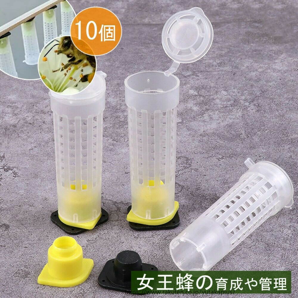 養蜂用 女王蜂 飼育ケース 10個 養蜂器具 保護ケージ 飼育棒 セルカップキット ツール 女王蜂育成システム 養蜂器具 女王蜂育成システム 逃去防止器 管状 分蜂捕獲器 蜜蜂を収集する装置 養蜂ツール 分蜂王籠 蜂女王 逃去防止器 飼育棒 セルカップキット 女王蜂育成システム