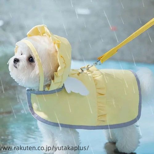 Rakuten - 犬用 エンジェル フリル 羽付き 防水 レインコート 服 フード付き かわいい 韓国 パステルカラー ジャケット アウター 雨 お散歩 猫 レインスーツ 濡れない おしゃれ 小型犬 着せやすい ハーネス レトロ Y2K 梅雨 女の子 男の子 水色 ピンク 黄色 ポンチョ わんちゃん