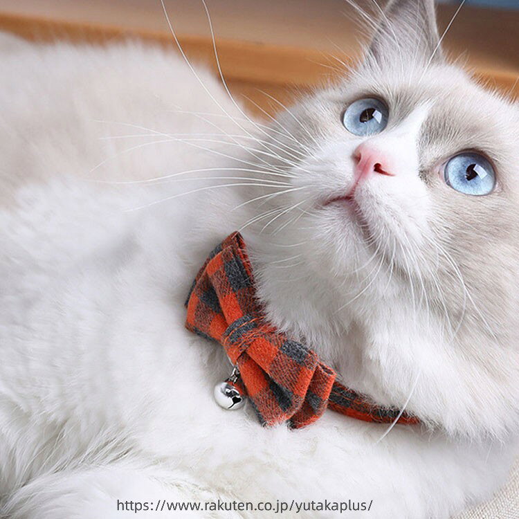 ペット用首輪+リードセット！猫 首輪 おしゃれ リボン セーフティバックル チェッ...