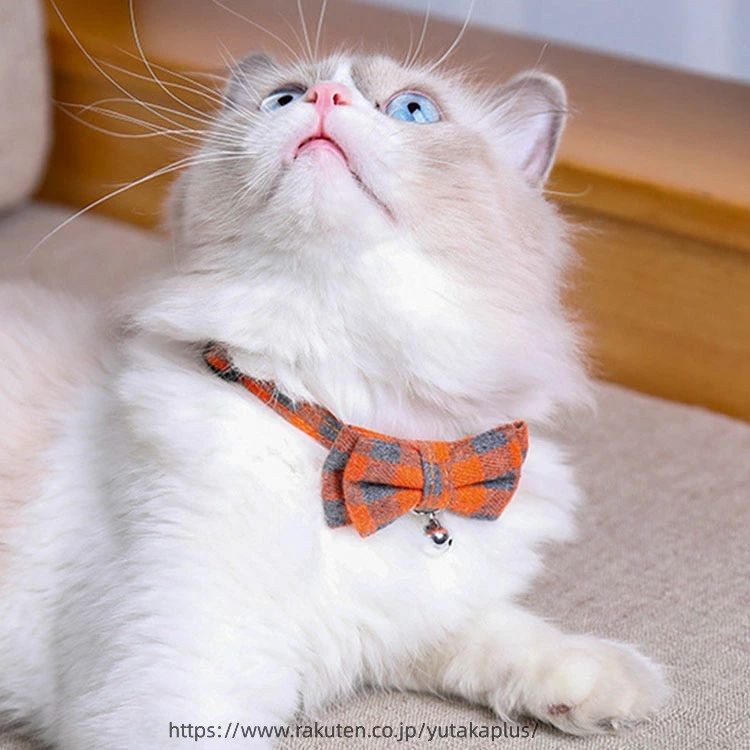 ペット用首輪+リードセット！猫 首輪 おしゃれ リボン セーフティバックル チェッ...