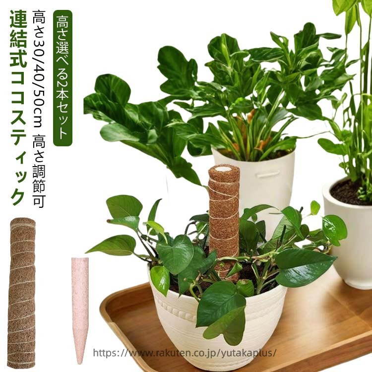 高さ30/40/50cm 高さ調節可連結式ココスティック【高さ選べる2本セット】取り外し可能な木の棒【おしゃれな雰囲気に】天然のココナツ繊維が原材料になり、自然になじみやすくて見栄えが良いです。見た目にもインテリア効果を崩さず、モンステラと一体になっておしゃれな雰囲気が味わえます。【丈夫で耐久性が良い】木の棒が土に入れやすく、植物に害なく、環境に優しい素材を採用しております。太くて耐久性が良くて、植物を強力に支え、倒れることを防げます。【連結タイプ・長さ伸ばせる】植物の成長に合わせて上に継ぎ足していけます。モンステラが盛んに成長しますので太くて長い支柱が必要です。上継ぎ足せば、植物をお好みの高さまで育てることができますので、成長ももっと楽しめます。【植物の成長に良い】繊維部に植物が巻き付きやすくなりますので水分も吸収しやすくなります。ココナツ繊維を使い、幹を安定させてあげることで、モンステラのバランスを整えることができます。バランスがよくなれば、葉が密集することが防げるので日当たりや風通し、また害虫予防の効果まで得られますし、株の異常にも早く気付くこともできます。【適応植物】ヘデラ類、ポトス、フィロデンドロン、モンステラシンゴニューム等 サイズ 30cm+30cm(2本セット) 30cm+40cm(2本セット) 40cm+40cm(2本セット) 50cm+50cm(2本セット) 30cm+50cm(2本セット) 40cm+50cm(2本セット) サイズについての説明 パッケージ内容：2本入れ/サイズ[30cm]棒の高さ:10cm/サイズ[40cm]棒の高さ:13cm/サイズ[50cm]棒の高さ:13cm直径:約4.5cm 通常タイプ(曲げられない)※(弊店では曲げられるのタイプもご用意しております。)※商品のサイズは手作業で測定させて頂いておりますので、若干の誤差があります。 素材 天然ココヤシ繊維、天然木 色 通常タイプ(曲げられない) 備考 ●サイズ詳細等の測り方はスタッフ間で統一、徹底はしておりますが、実寸は商品によって若干の誤差(1cm〜3cm )がある場合がございますので、予めご了承ください。 ●製造ロットにより、細部形状の違いや、同色でも色味に多少の誤差が生じます。 ●パッケージは改良のため予告なく仕様を変更する場合があります。 ▼商品の色は、撮影時の光や、お客様のモニターの色具合などにより、実際の商品と異なる場合がございます。あらかじめ、ご了承ください。 ▼生地の特性上、やや匂いが強く感じられるものもございます。数日のご使用や陰干しなどで気になる匂いはほとんど感じられなくなります。 ▼同じ商品でも生産時期により形やサイズ、カラーに多少の誤差が生じる場合もございます。 ▼他店舗でも在庫を共有して販売をしている為、受注後欠品となる場合もございます。予め、ご了承お願い申し上げます。 ▼出荷前に全て検品を行っておりますが、万が一商品に不具合があった場合は、お問い合わせフォームまたはメールよりご連絡頂けます様お願い申し上げます。速やかに対応致しますのでご安心ください。