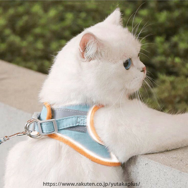 猫 ハーネス リードセット 猫用 犬用 小型犬 胴輪 脱げない 簡単装着 お出かけ 散...