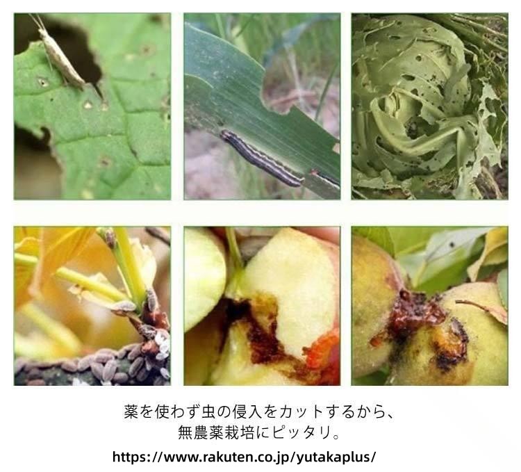 防虫 ネット 害虫 対策 防鳥 ネット 虫除け 園芸用品 農業資材 畑用 ネット 家庭菜...