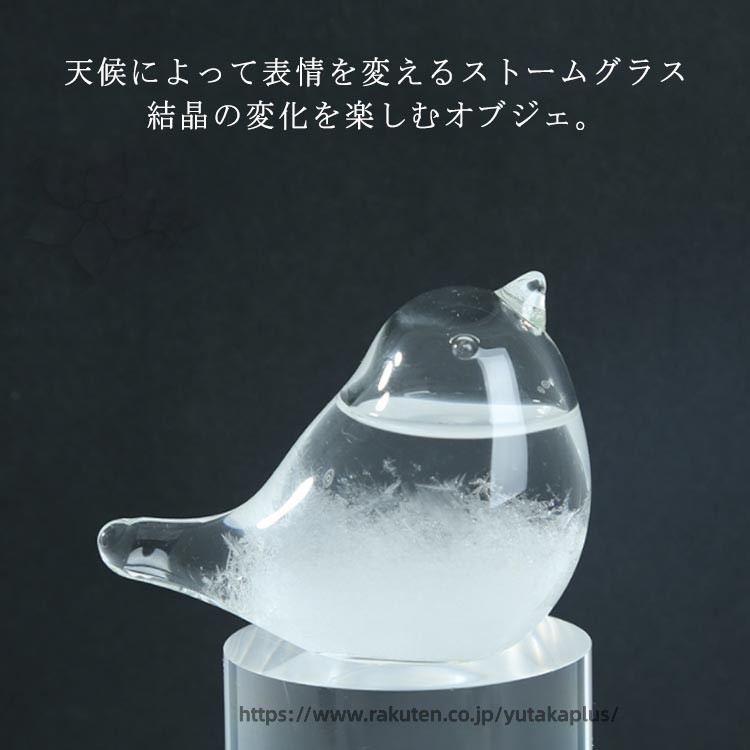 ストームグラス 天気ボトル ストームグラス テンポドロップ おしゃれ オブジェ 天気予報ボトル ひよこ 気象予報 インテリア 飾り 結晶観察器 置物 雑貨 ストーム瓶 贈り物 お祝い ガラス ギフト プレゼント オフィス 玄関 リビング