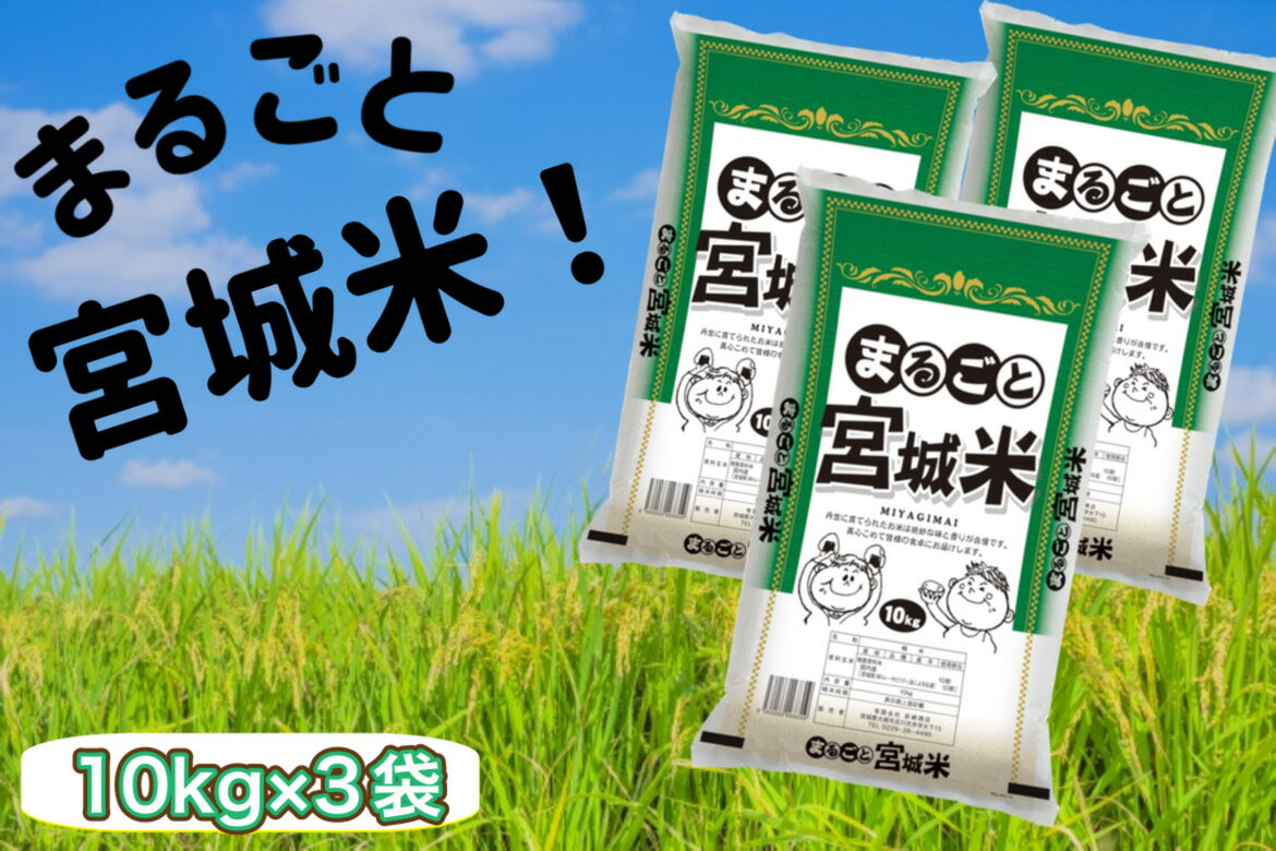 令和5年産 お米 30 kg まるごと宮城米 10 kg × 3 袋  宮城県産 ブレンド米 精米 白米 食べ盛り応援