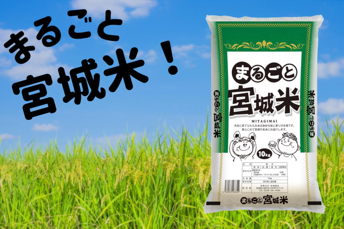 令和5年産 まるごと宮城米 食べ盛り応援 お米 10 kg 1袋  宮城県産 ブレンド米 精米 白米