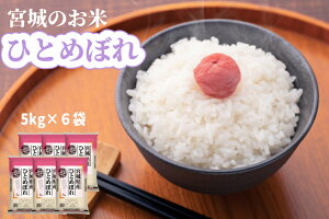 令和6年産 ひとめぼれ 5 kg × 6 袋 30 kg 宮城県産【月間優良ショップ受賞】 【送料無料】 白米 精米 宮城のお米