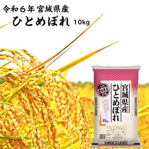 令和6年産 ひとめぼれ 10kg 宮城県産 送料無料 白米 自社精米 宮城のお米