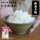 【令和7年産新米予約受付中】 ひとめぼれ 10kg 宮城県産 送料無料 白米 自社精米 宮城のお米