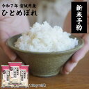 【令和7年産新米予約受付中】ひとめぼれ 10kg×3袋 30kg 送料無料 宮城県産 白米 自社精米