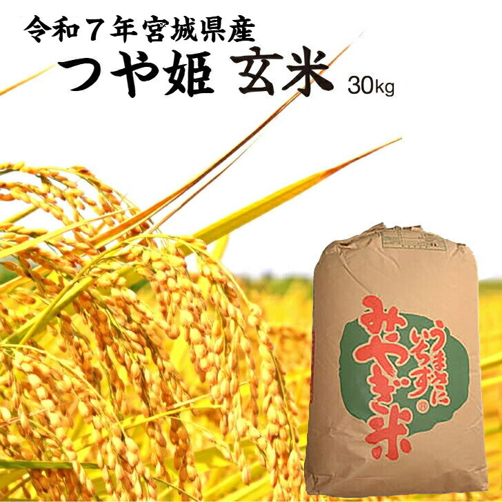 【令和7年産新米】 つや姫 「玄米」30kg 宮城県産 【送料無料】 宮城のお米 米袋